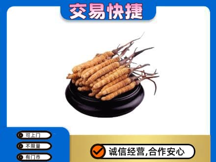 宜昌市猇亭回收冬虫夏草多少钱每克